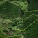 بالصور ..اللون الأخضر يَحتلُ قرية “هوتوان” الصينية المهجورة في جزيرة شينغشان..ويحولها إلى معلم سياحي